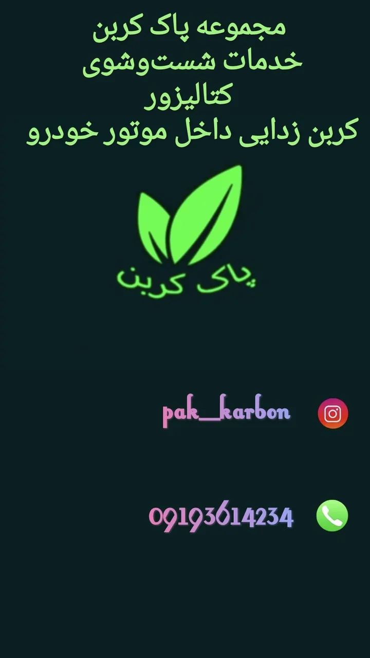 پاک کربن
