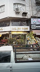 رز طلایی