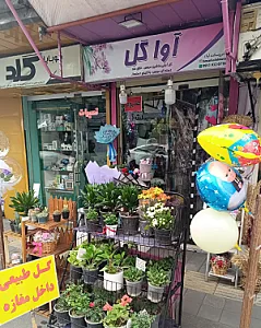 گل کده آوا گل