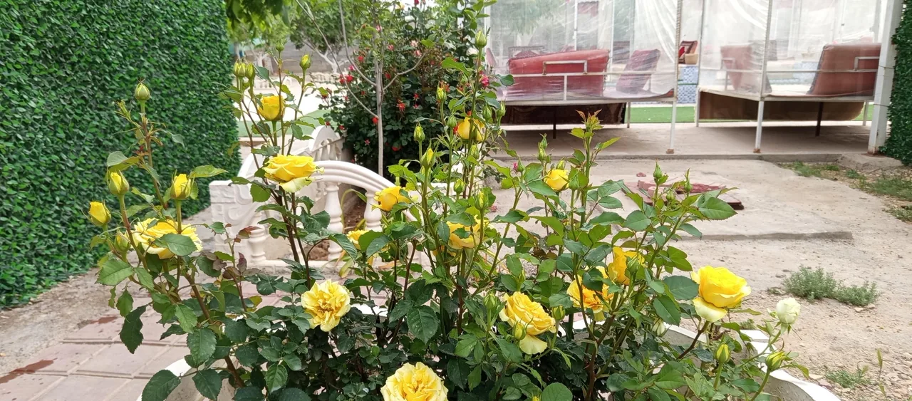کافه سفر خانه سنتی دل ارام - تصویر 3