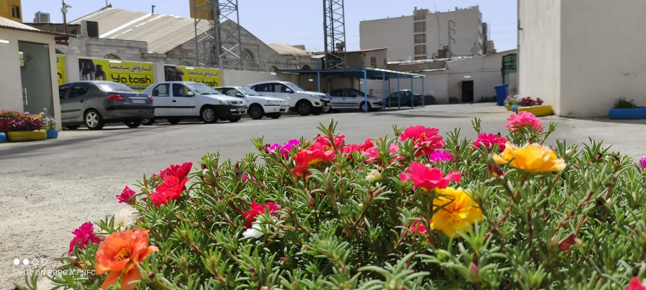 کارواش بزرگ مایسا - تصویر 4
