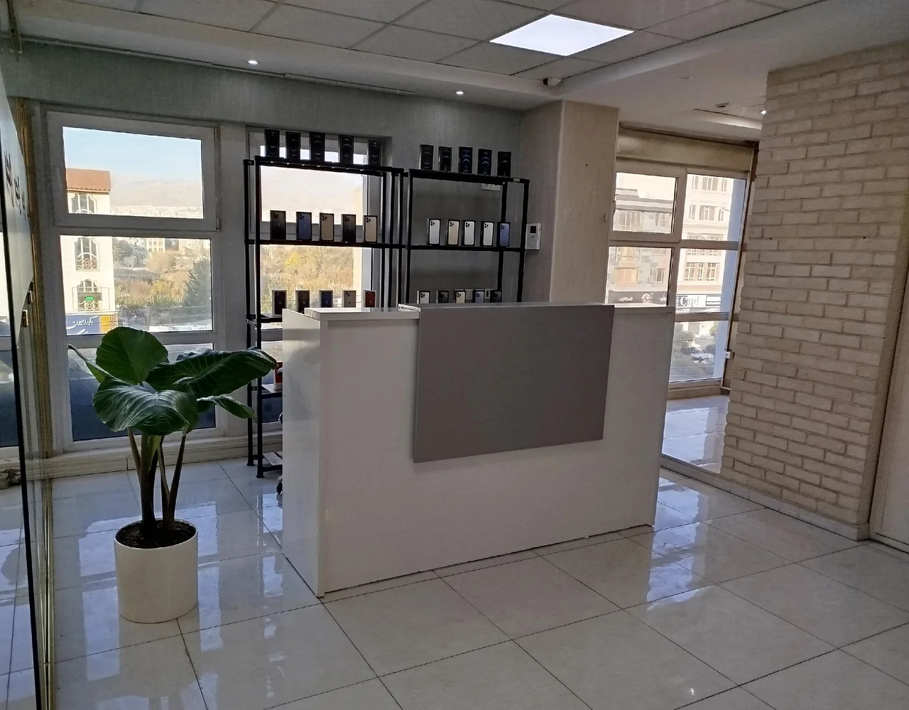 چکینو