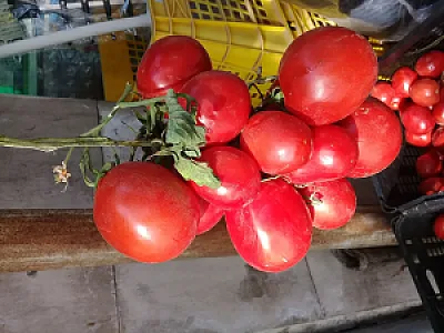 سوپر میوه حسن