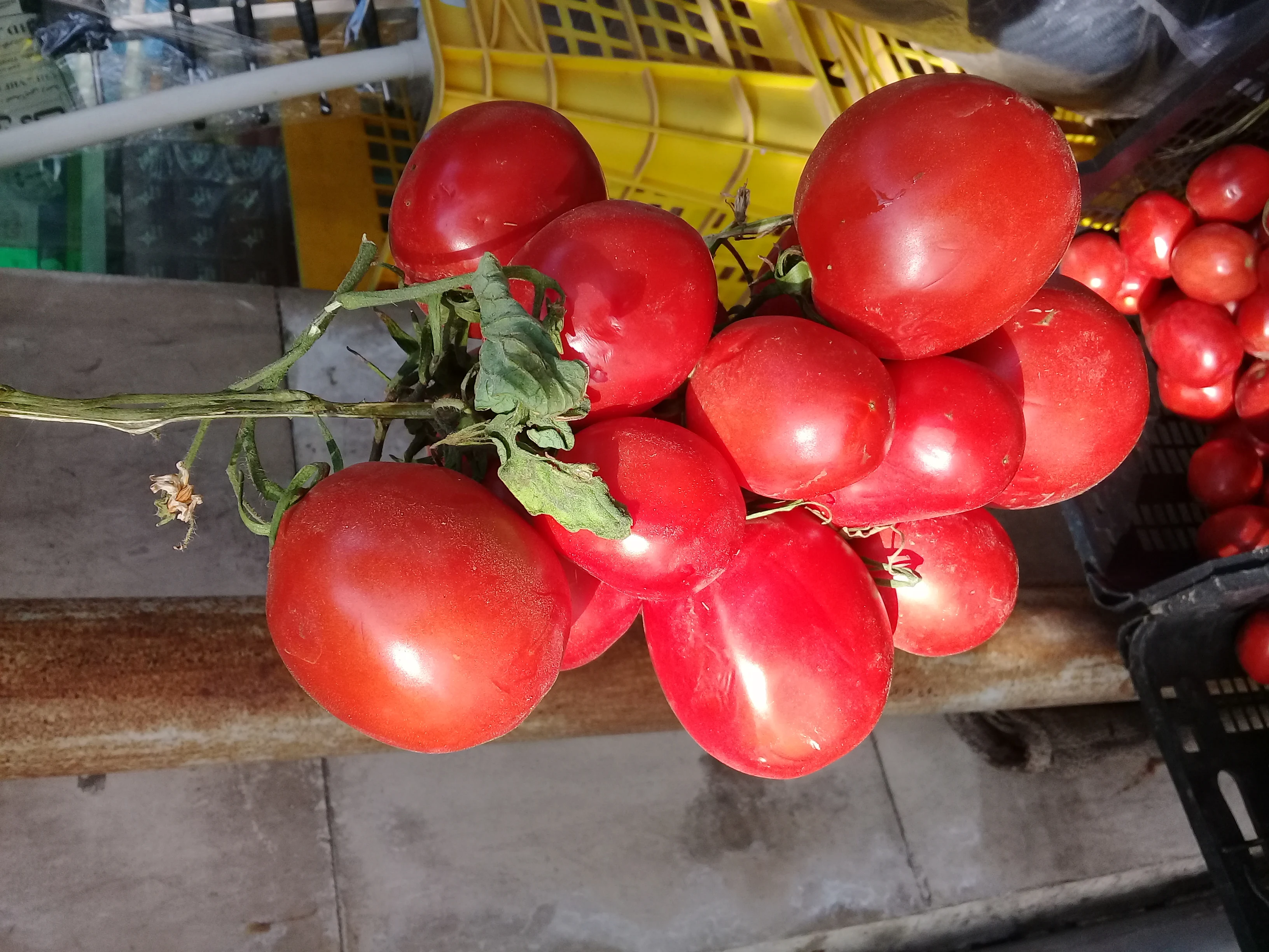 سوپر میوه حسن