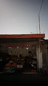 میوه فروشی داریا