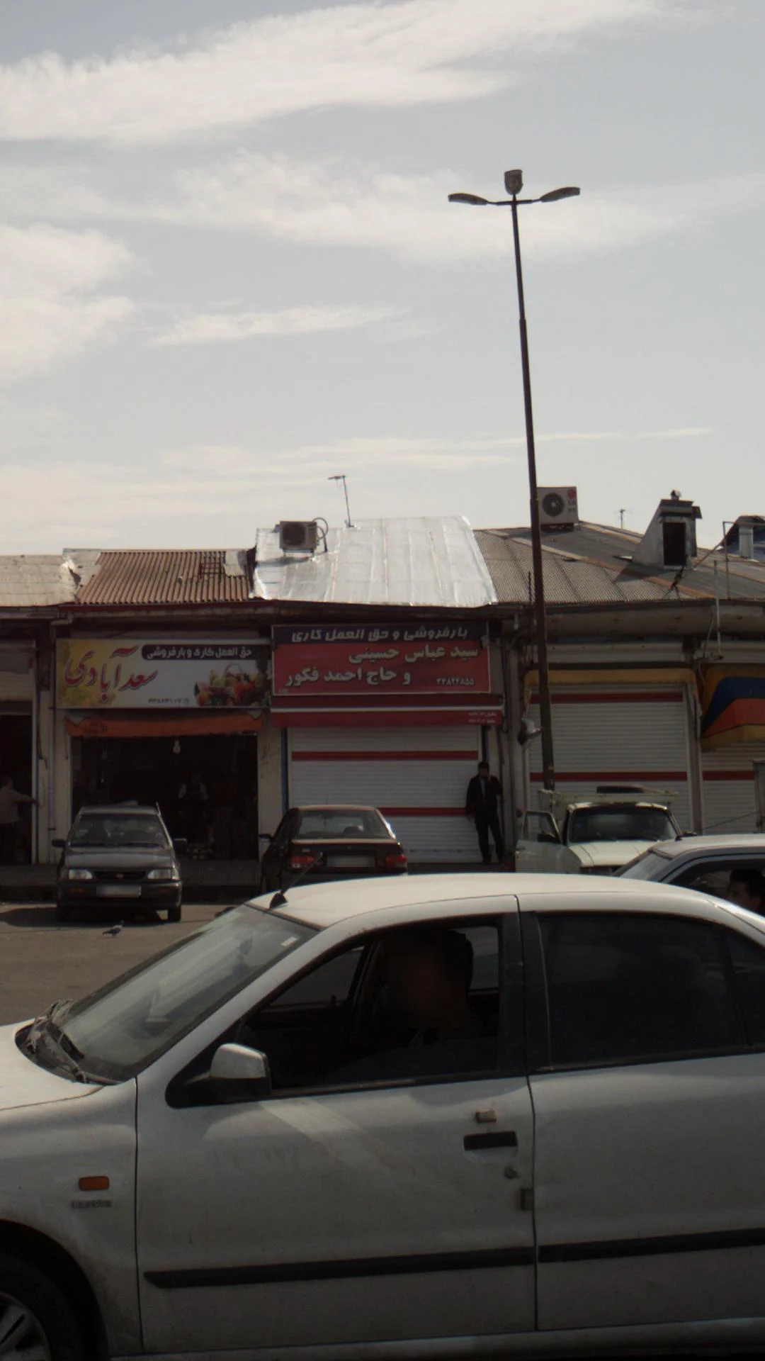 بورس کلم کاهو کاهوپیچ - تصویر 2