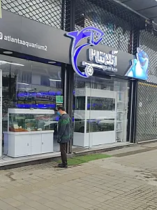 آکواریوم آتلانتا 2