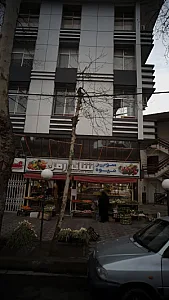 سوپر میوه شاندرمن