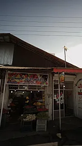 میوه سرای درخشان