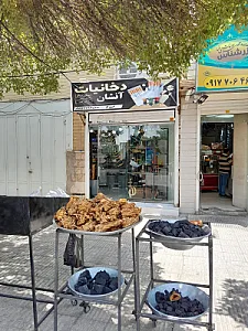 پشتیبانی شهر باستان