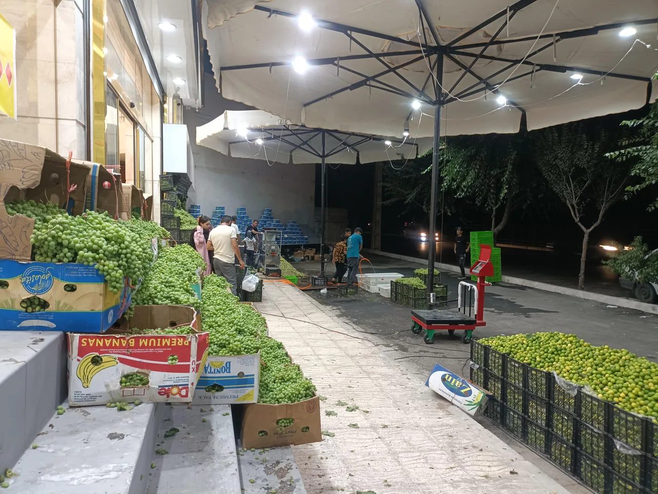خدمات آبگیری نرخ شکن