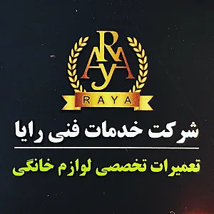 شرکت خدمات فنی رایا