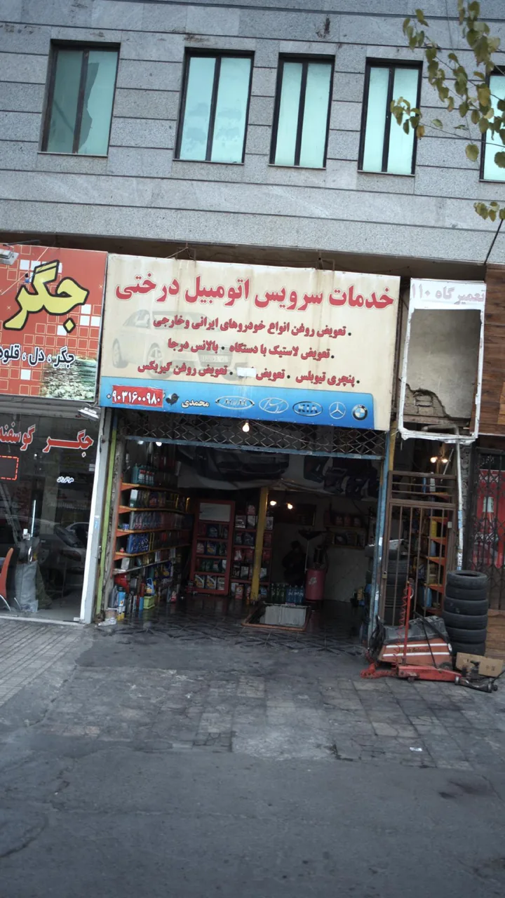 خدمات سرویس اتومبیل درختی