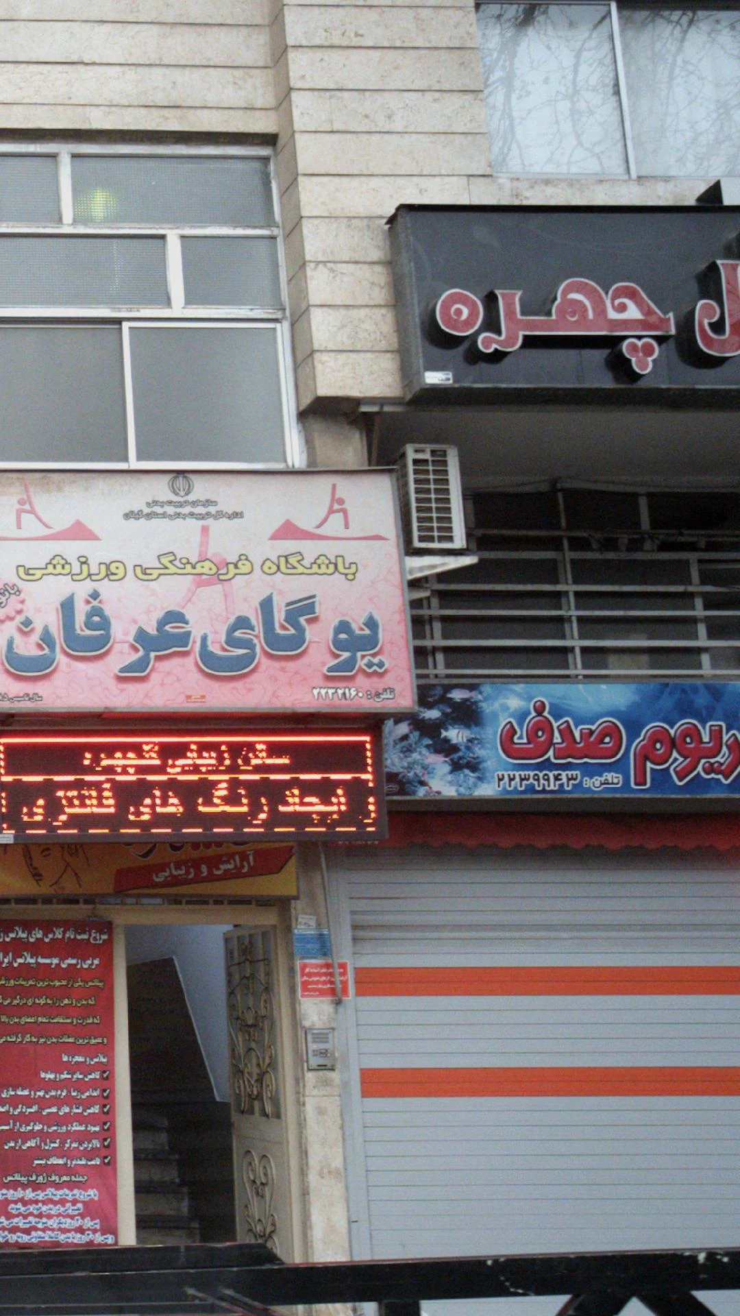 آکواریوم صدف