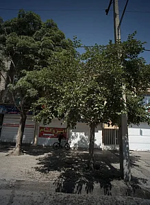 نمایندگی ایزوگام ایزیکار