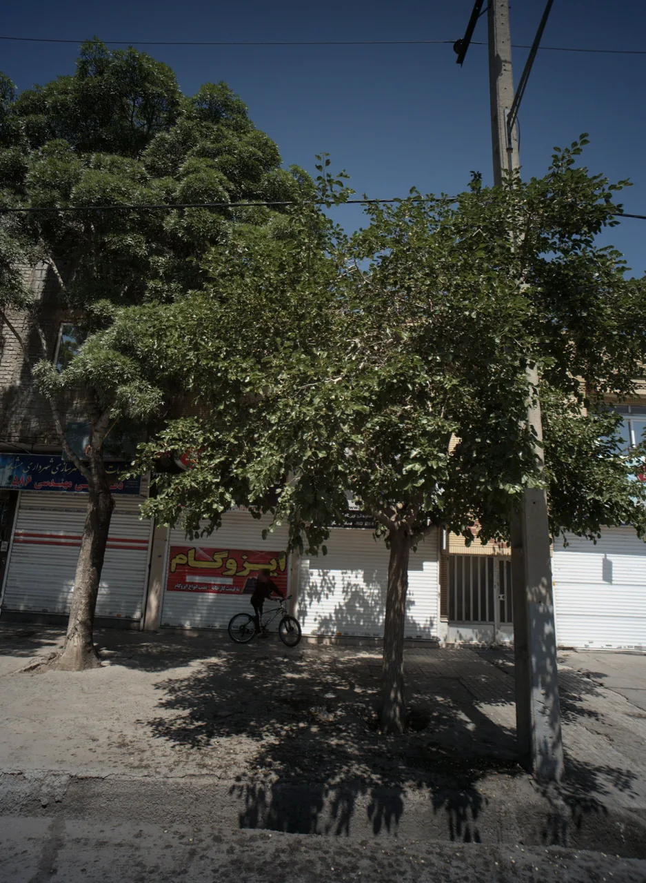 نمایندگی ایزوگام ایزیکار