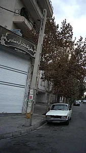 ظروف کرایه شادی