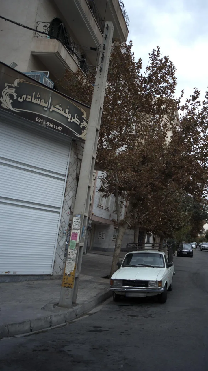 ظروف کرایه شادی
