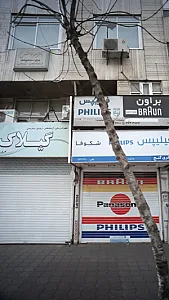 دکتر مهرنوش مهر