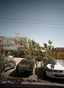 رنگ روشان فام