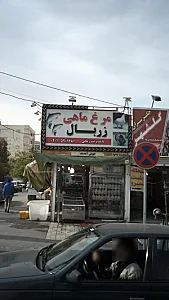 مرغ و ماهی زربال