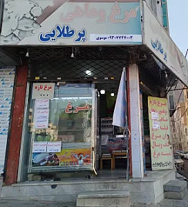 مرغ و ماهی پر طلایی موسوی
