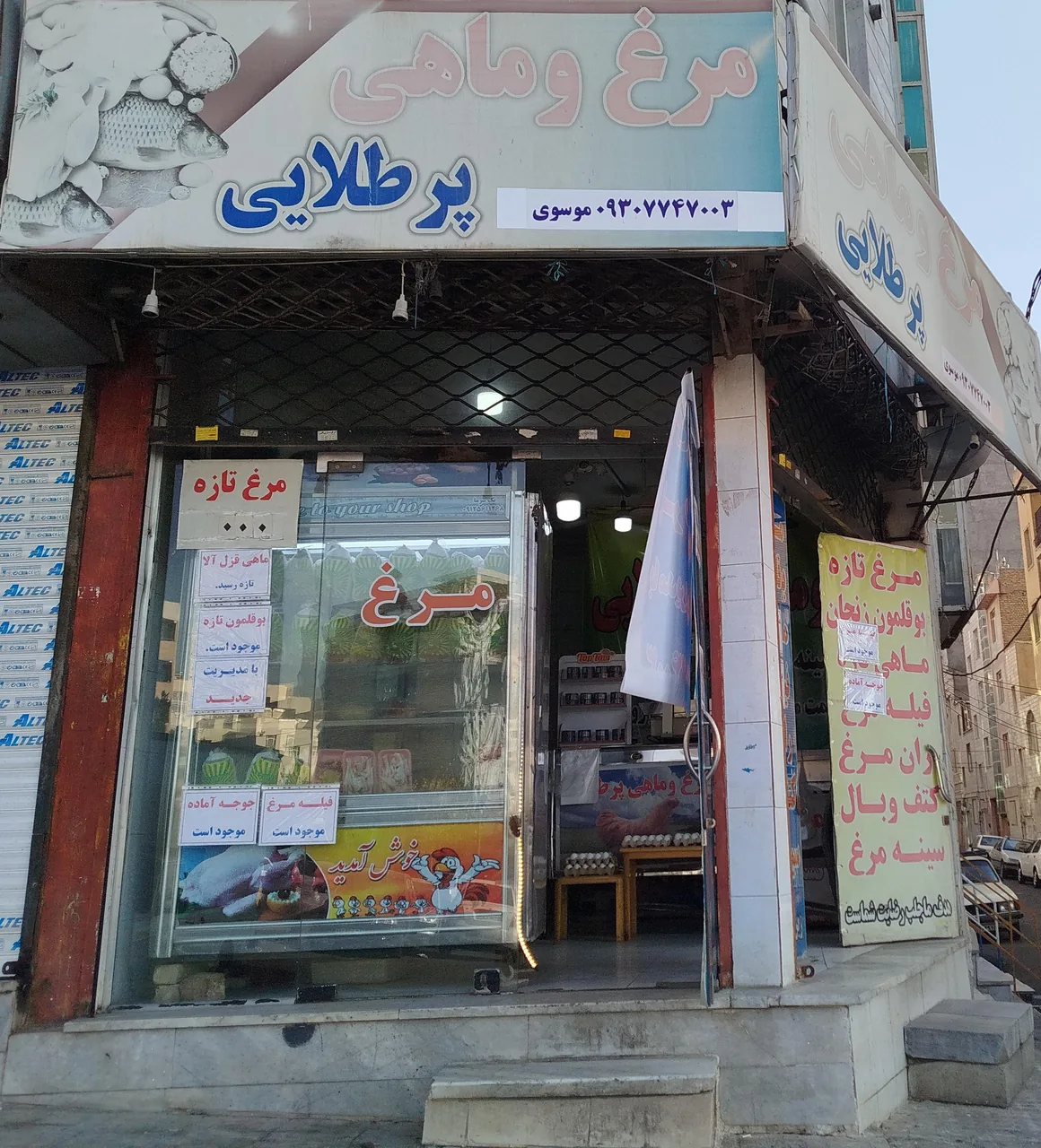 مرغ و ماهی پر طلایی موسوی