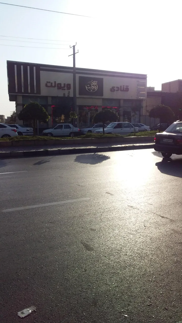 قنادی ویولت