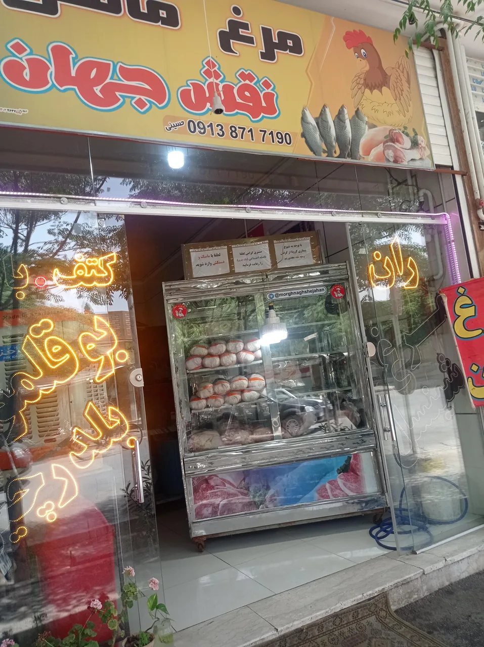 مرغ و ماهی نقش جهان - تصویر 2