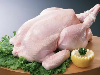 مرغ فروشی بابک