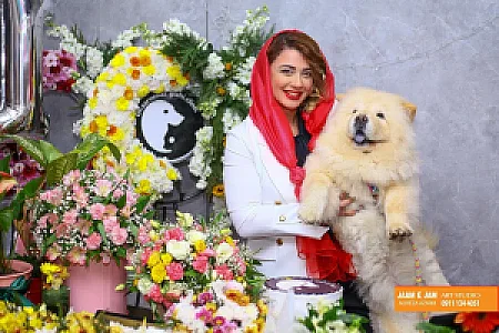 کلینیک دامپزشکی دکتر سروناز گیاهی رشت