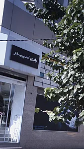 بادی اسپینر