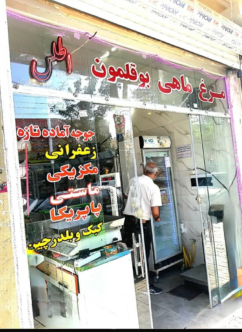 مرغ و ماهی بوگری - تصویر 4