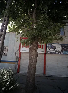 رنگ ابزار عسگری