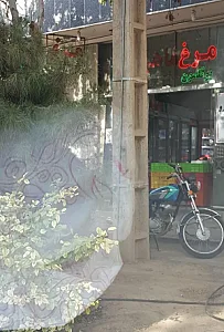 مرغ و ماهی حمزه