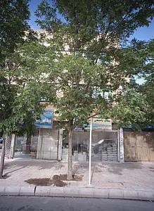 مصالح ساختمانی نخعی