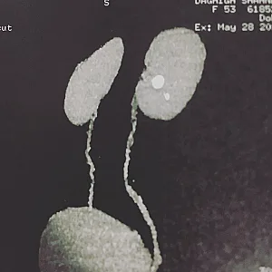 مطب دکتر علی فتح الهی