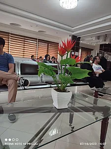 دکتر مشهور