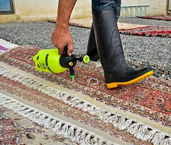 قالیشویی آئین خراسان مشهد