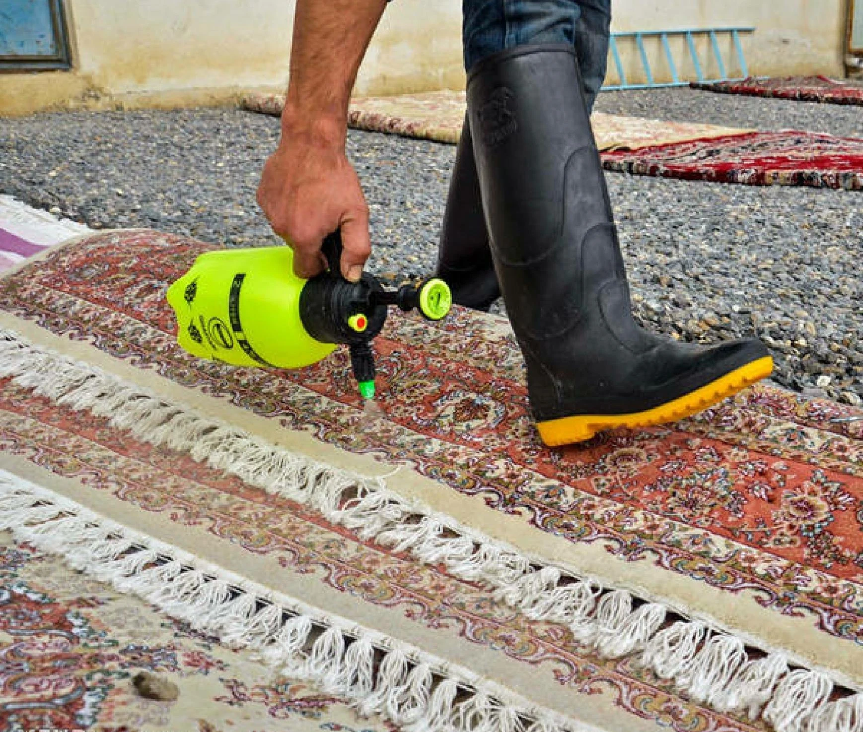 قالیشویی آئین خراسان مشهد