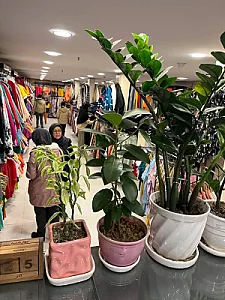 فروشگاه زنانه بیوتی