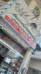 الکتریکی شایان