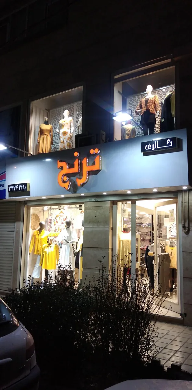 گالری ترنج - تصویر 3