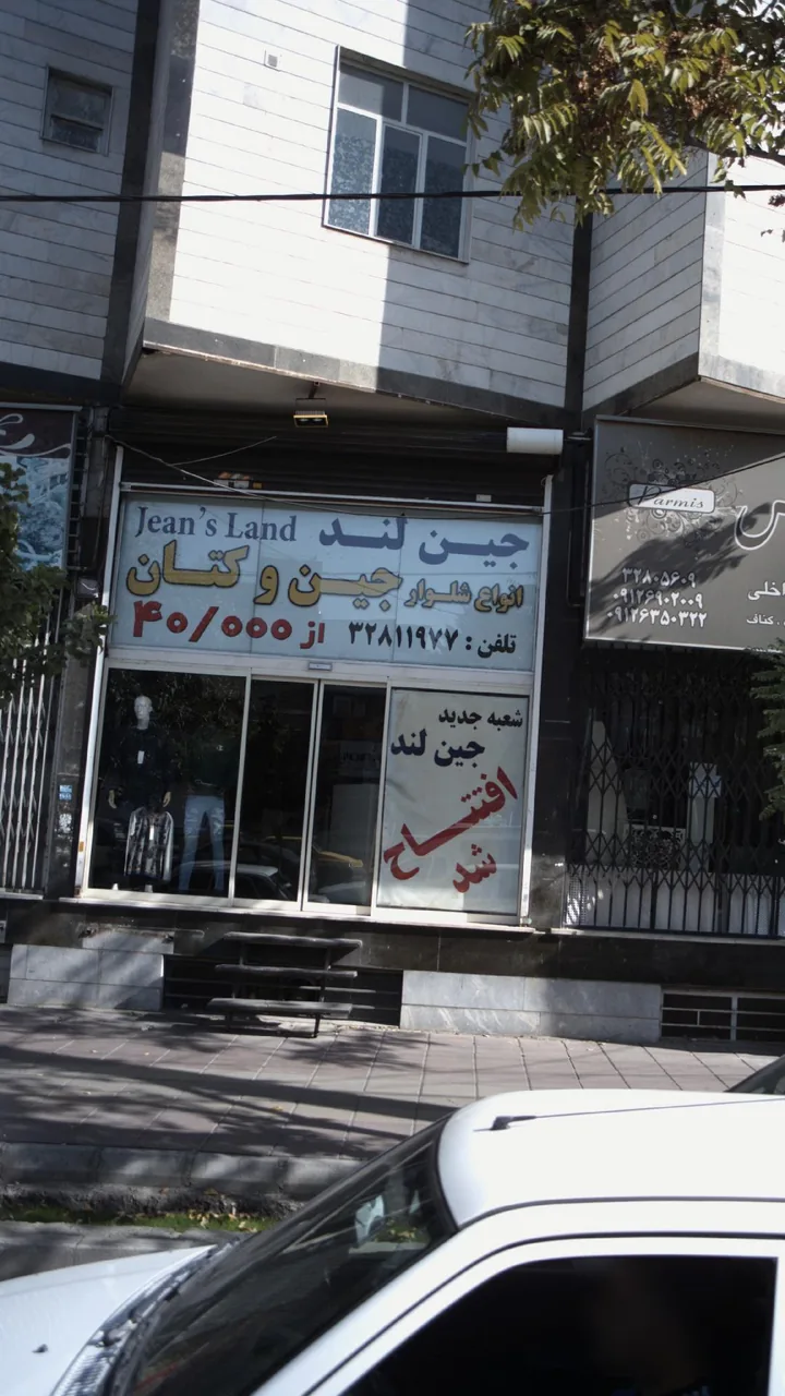 جین لند