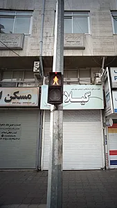 دکتر سید رضا حبیب زاده