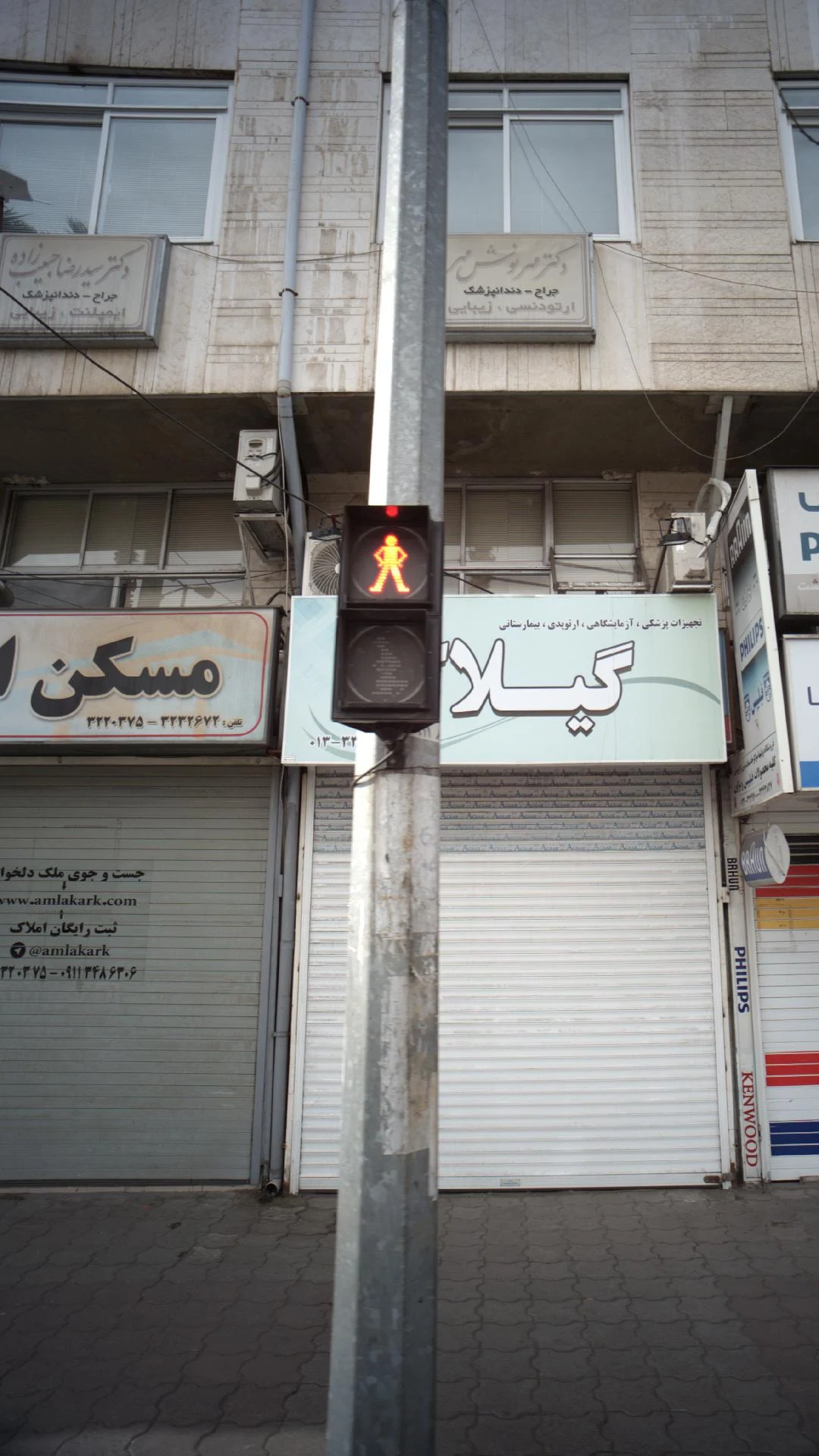 دکتر سید رضا حبیب زاده