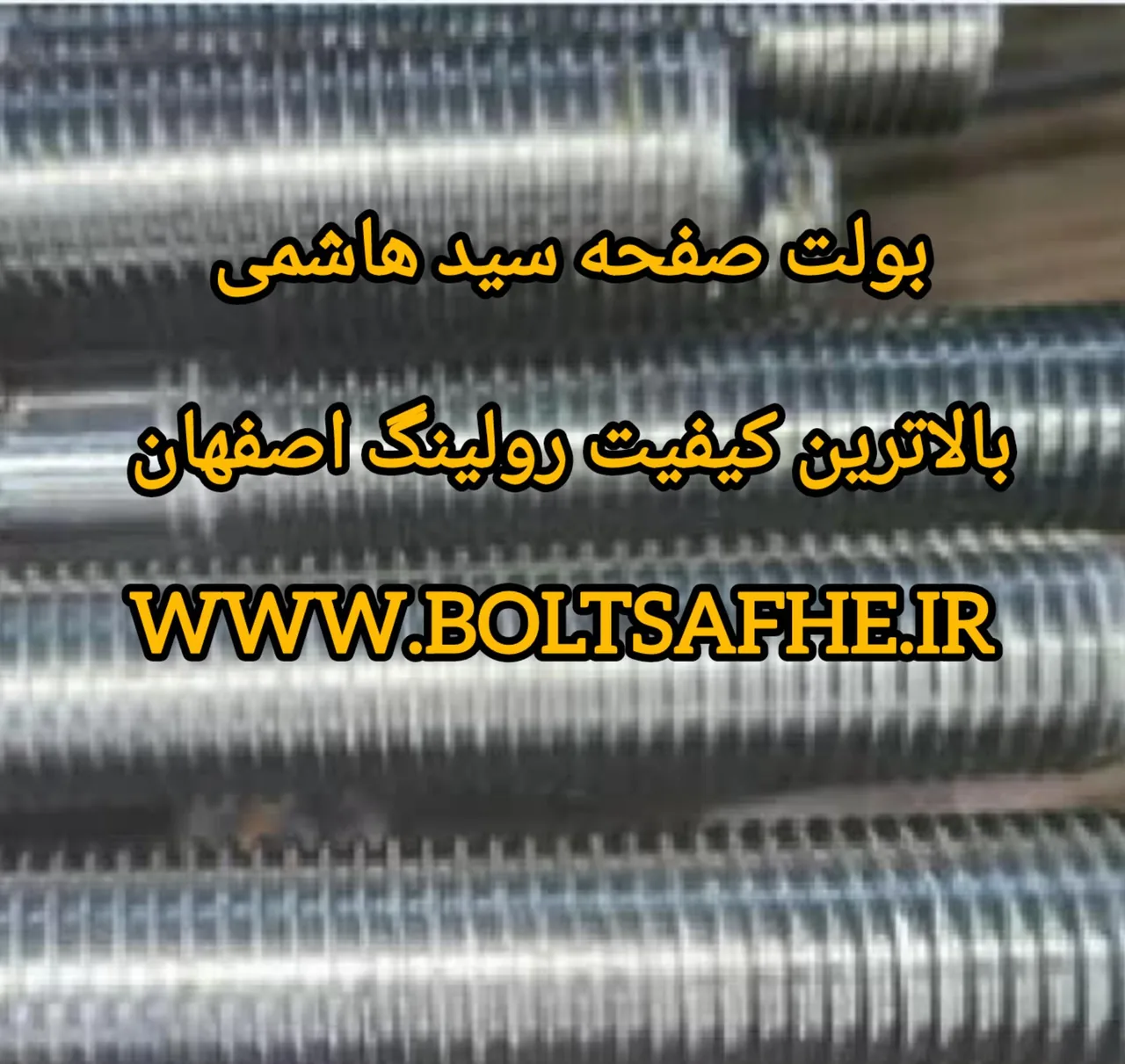 بولت صفحه ستون سید هاشمی
