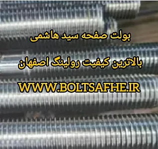 بولت صفحه ستون سید هاشمی