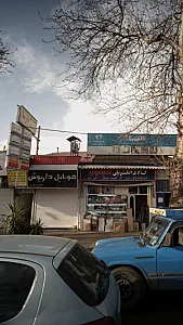 دکتر فریبا لسانی