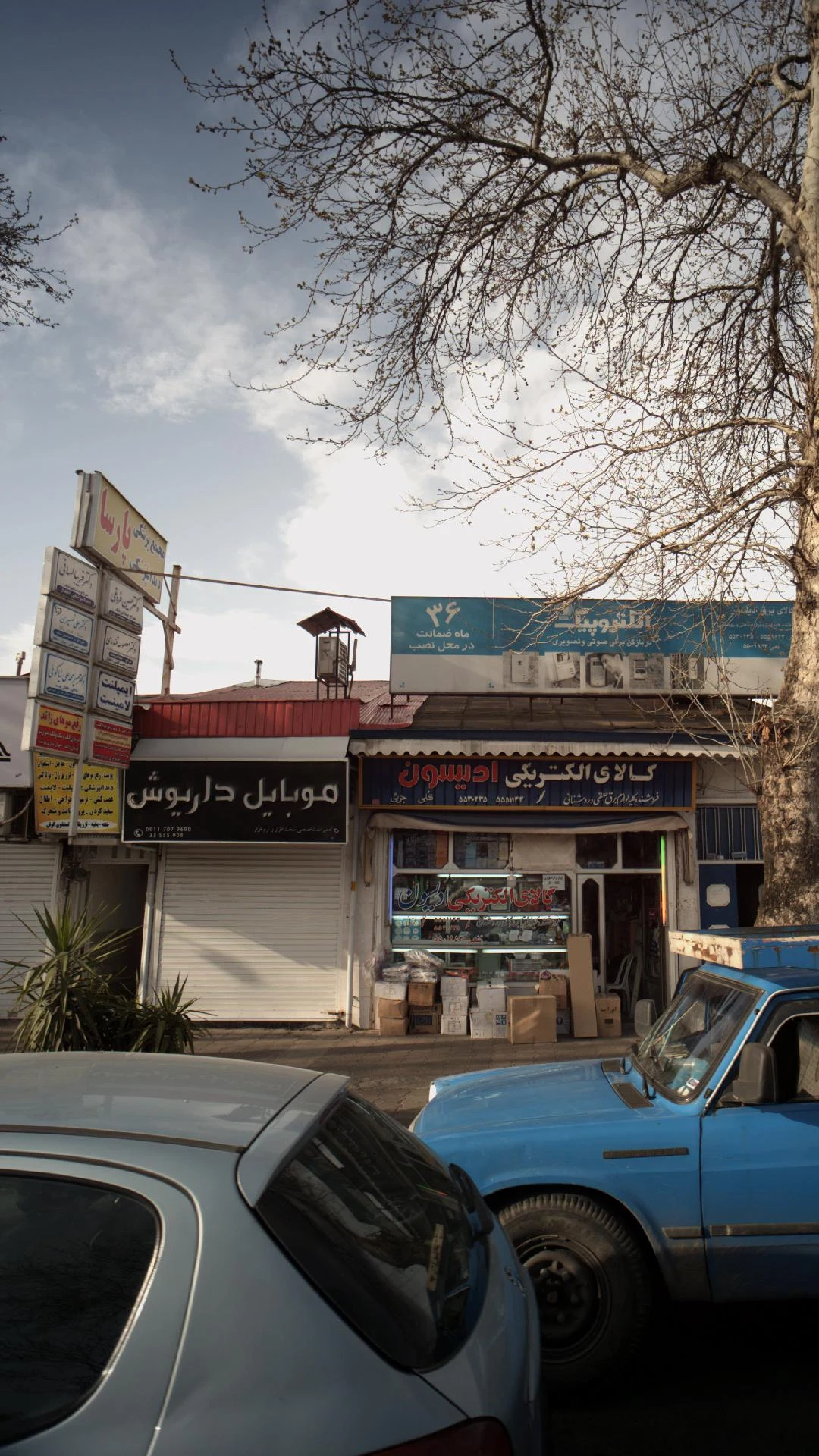 دکتر فریبا لسانی